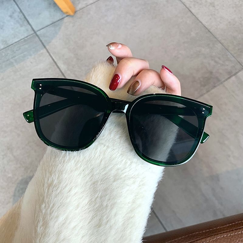 Square Frame Sunglasses