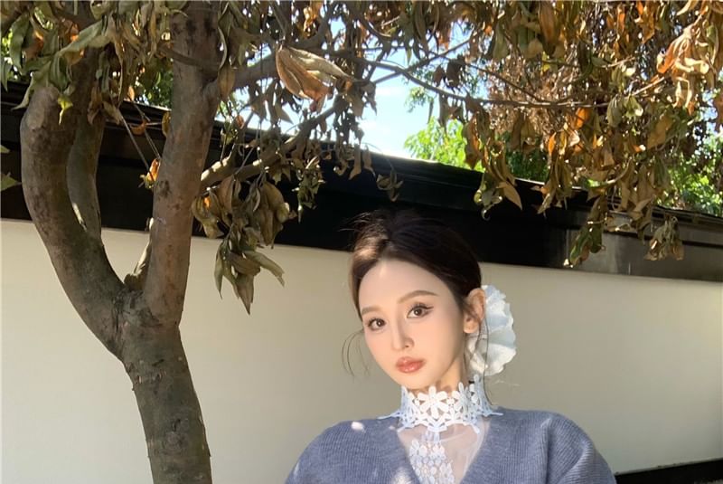 Cardigan / V-Neck High Button-Up Long-Sleeve Lace Top Neck