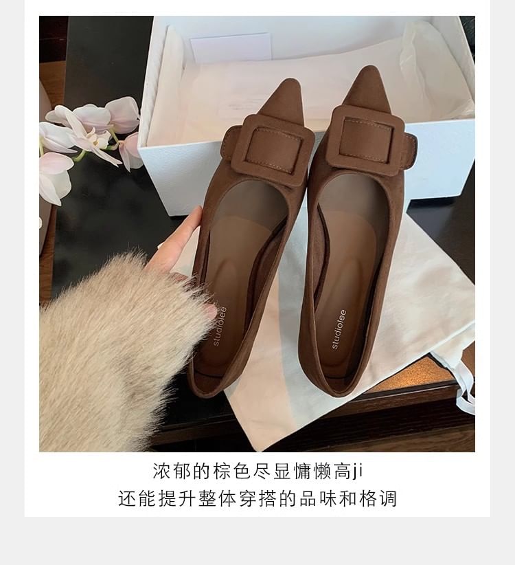Toe Flats Buckled Pointed