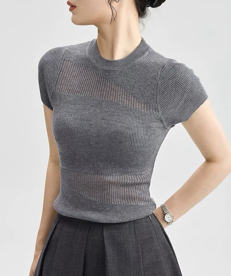 Top Plain Panel Neck Sheer Round Cap-Sleeve Knit
