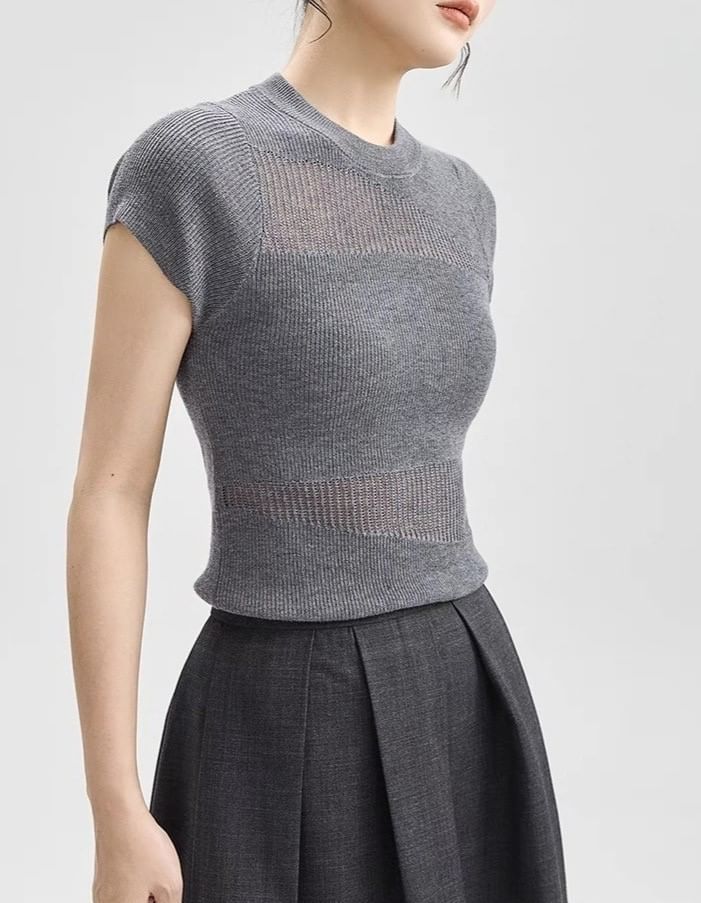 Top Plain Panel Neck Sheer Round Cap-Sleeve Knit