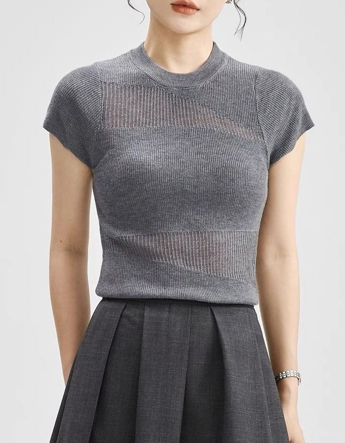 Top Plain Panel Neck Sheer Round Cap-Sleeve Knit
