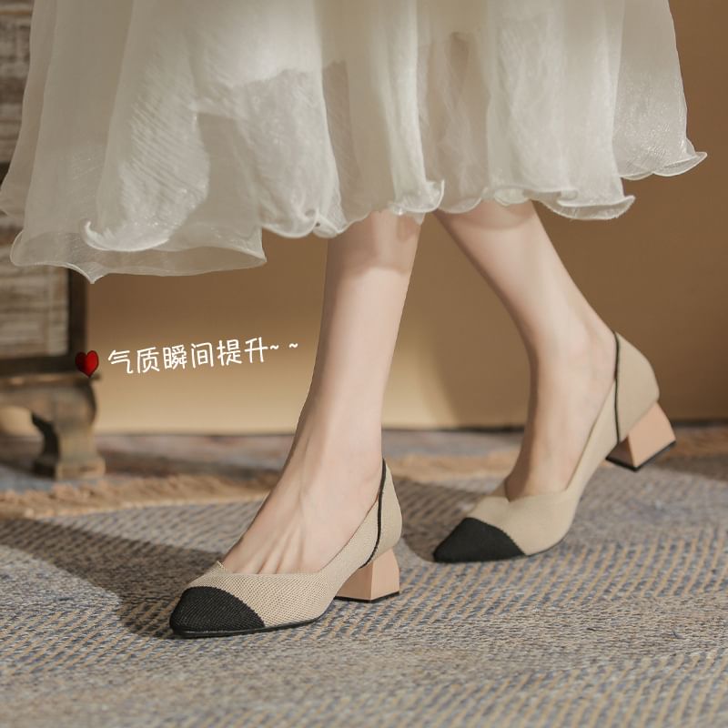 Pointed Chunky Heel Pumps