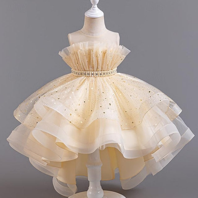 Party Kids Girl Sleeveless Flower Sequin Girls' Dress