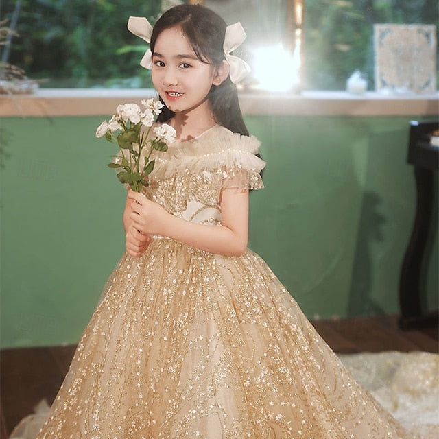 Princess Kid's Girl Dress Girls' Flower