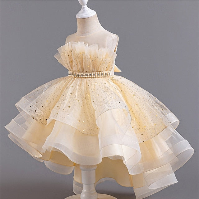 Kid's Girls' Princess Flower Girl Dress