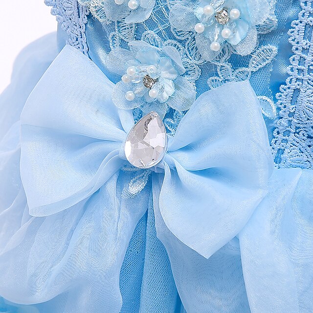 Movie Dress Cinderella Princess Girls' Girl Flower