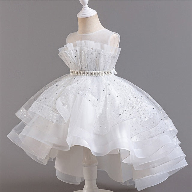 Kid's Girls' Princess Flower Girl Dress