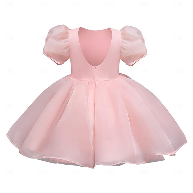 Dress Flower Party Color Girl Girls' Kids Solid