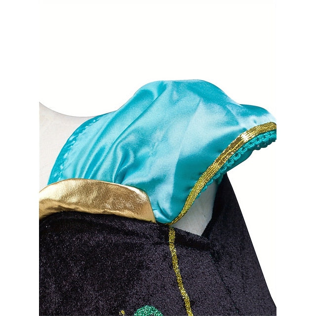 Princess Anna Party Flower Fairytale Frozen Theme Dress Girl