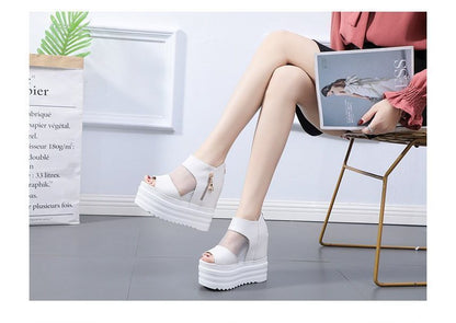 Wedge Sandals Platform Sheer
