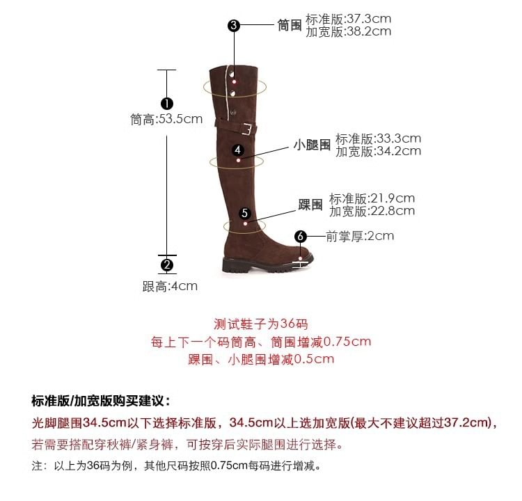 Boots Over-the-Knee Fleece-Lined