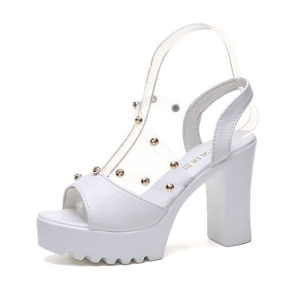 Sandals Chunky Heel Platform