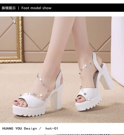 Sandals Chunky Heel Platform