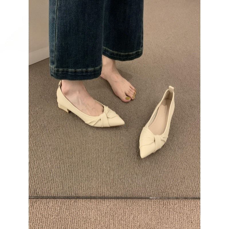 Pointy Shirred Flats