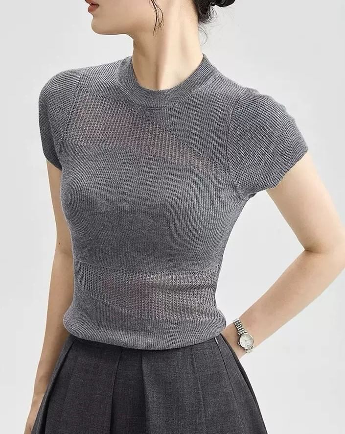 Top Plain Panel Neck Sheer Round Cap-Sleeve Knit