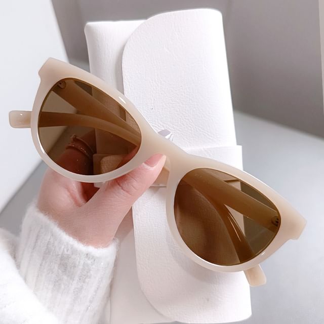 Sample Vintage Polarized Sunglasses