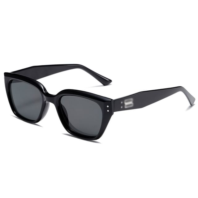 Sample Cat Eye Sunglasses / Glasses