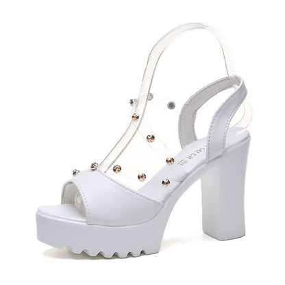 Sandals Chunky Heel Platform