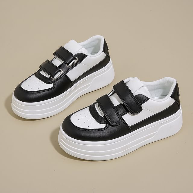 Sneakers Panel Platform