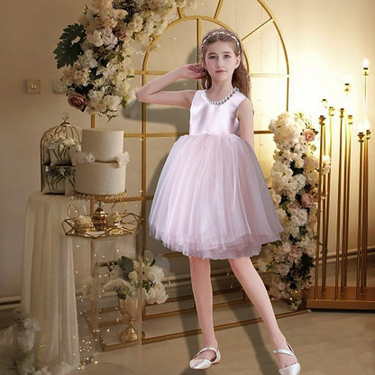 Party Wedding Girl Dress Flower Princess Girls'