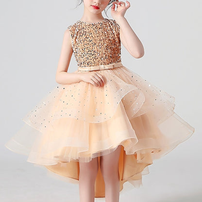 Flower Princess Girl Girls' Party Dress
