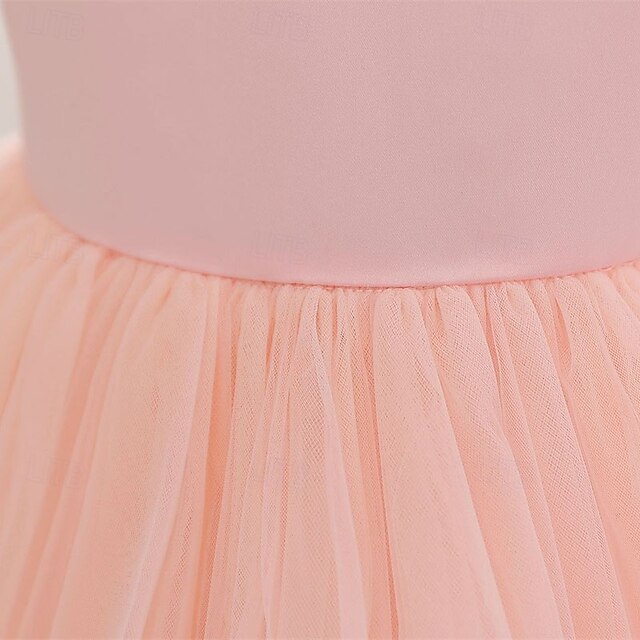 Girl Princess Kid's Dress Flower Girls'