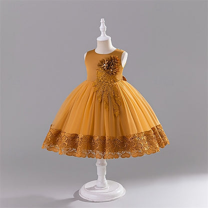 Kid's Girls' Princess Flower Dress Girl