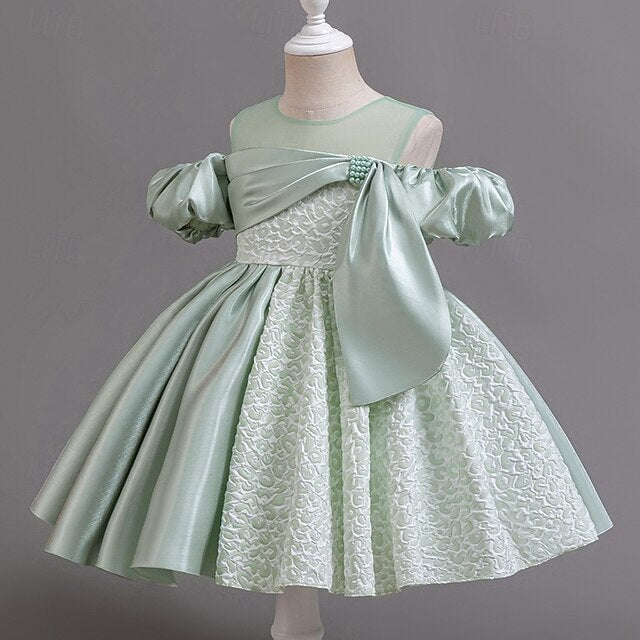 Girl Dress Flower Wedding Formal Girls' Party