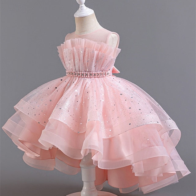 Kid's Girls' Princess Flower Girl Dress