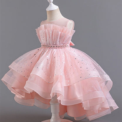 Kid's Girls' Princess Flower Girl Dress