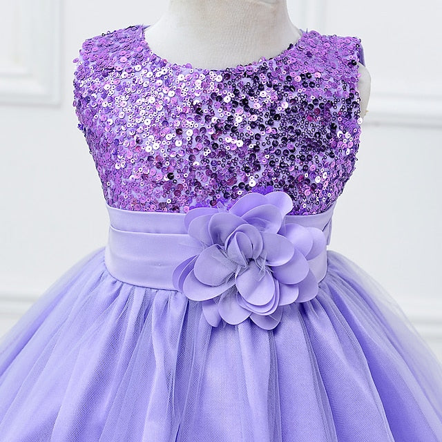 Flower Party Girl Girls' Dress Wedding