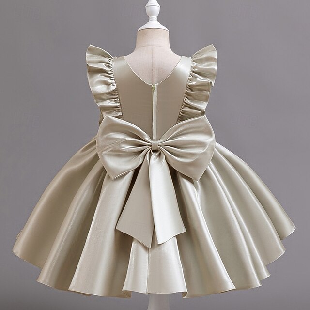 Toddler Party Girls' Floral Wedding Sleeveless Dress