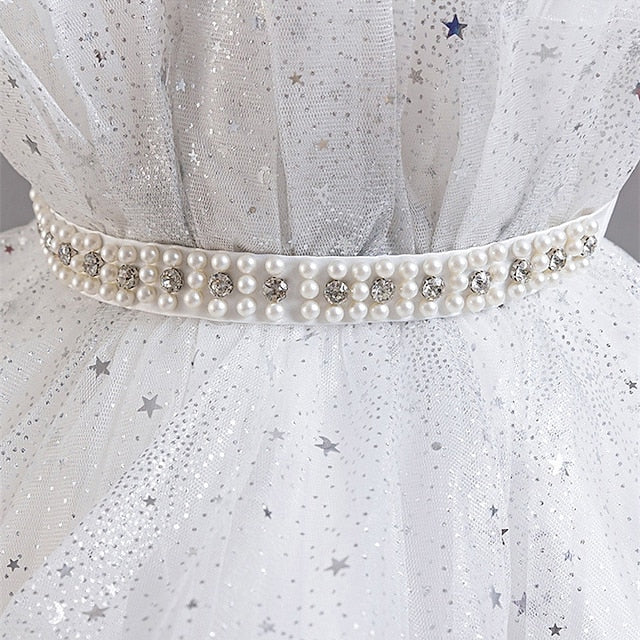 Kid's Girls' Princess Flower Girl Dress