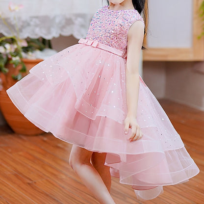 Flower Princess Girl Girls' Party Dress