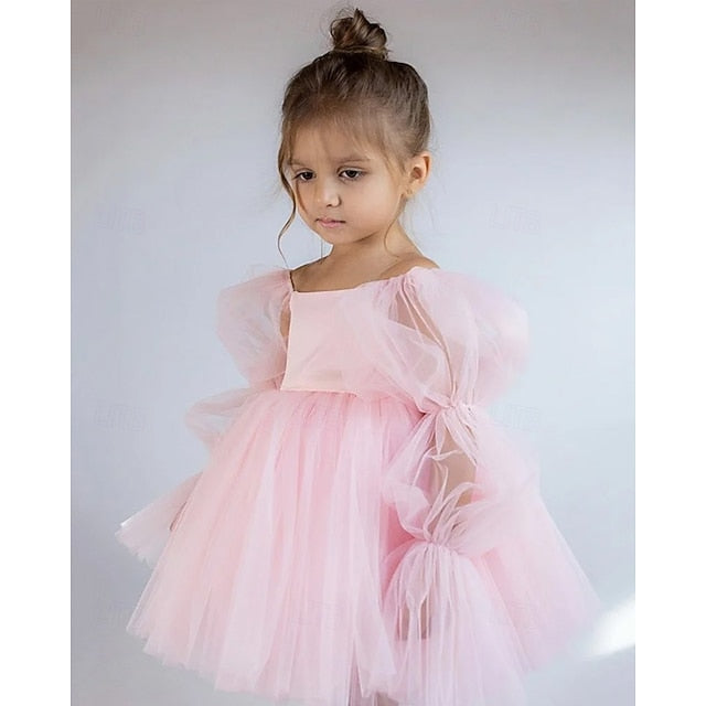 Kid's Princess Girls' Girl Dress Flower