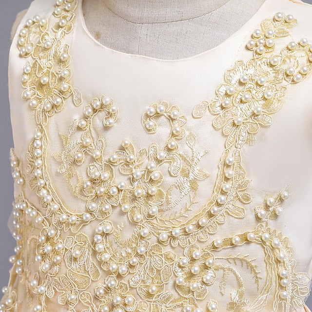 Girl Party Dress Wedding Flower Girls'