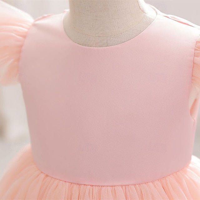 Girl Princess Kid's Dress Flower Girls'