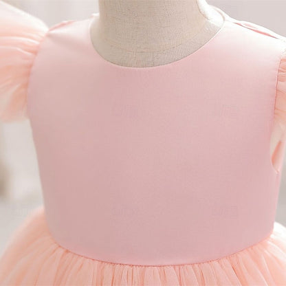 Girl Princess Kid's Dress Flower Girls'