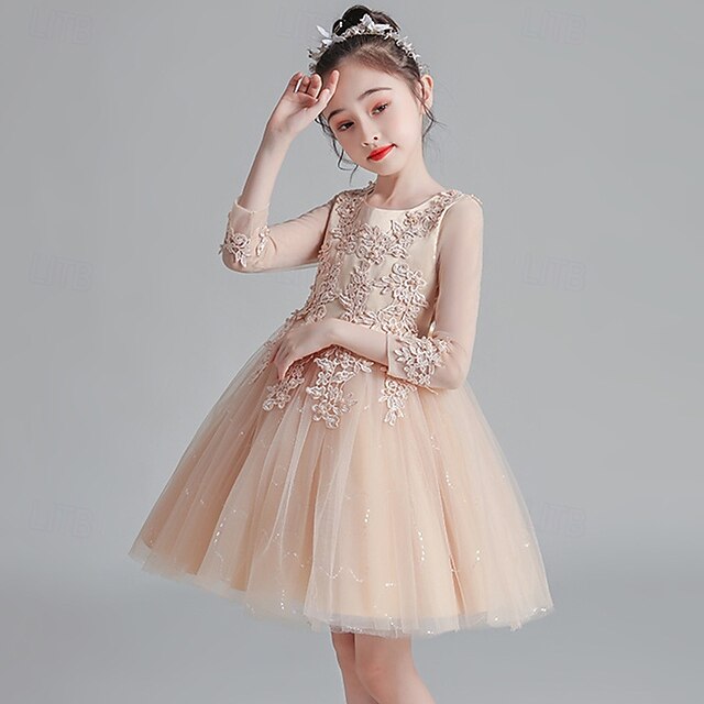Dress Princess Kid's Flower Girl Girls'