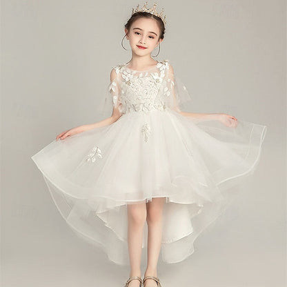 Flower Girl Girls' Princess Kid's Dress