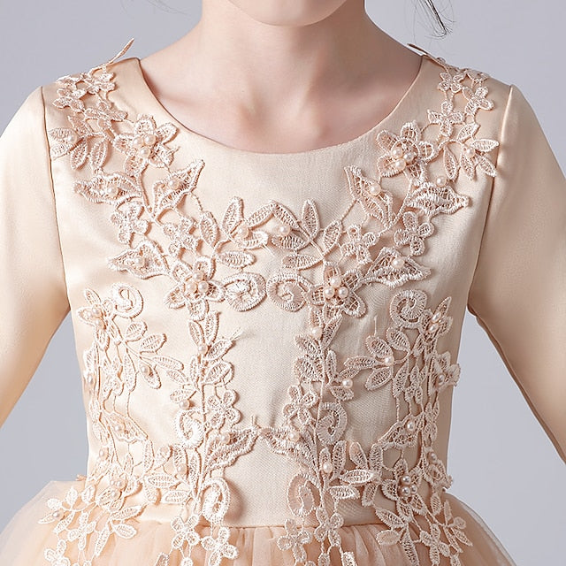 Girls' Party Princess Dress Flower Girl