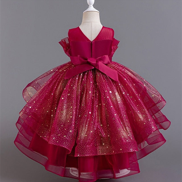 Kid's Girls' Princess Flower Girl Dress
