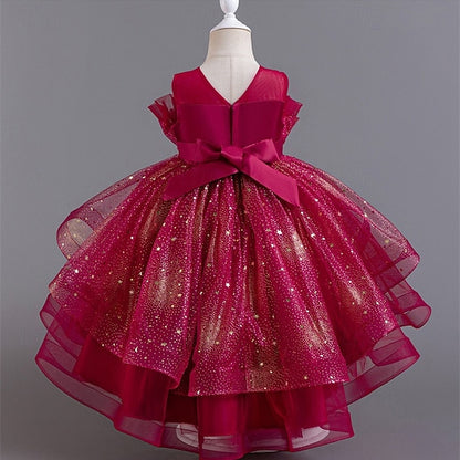 Kid's Girls' Princess Flower Girl Dress