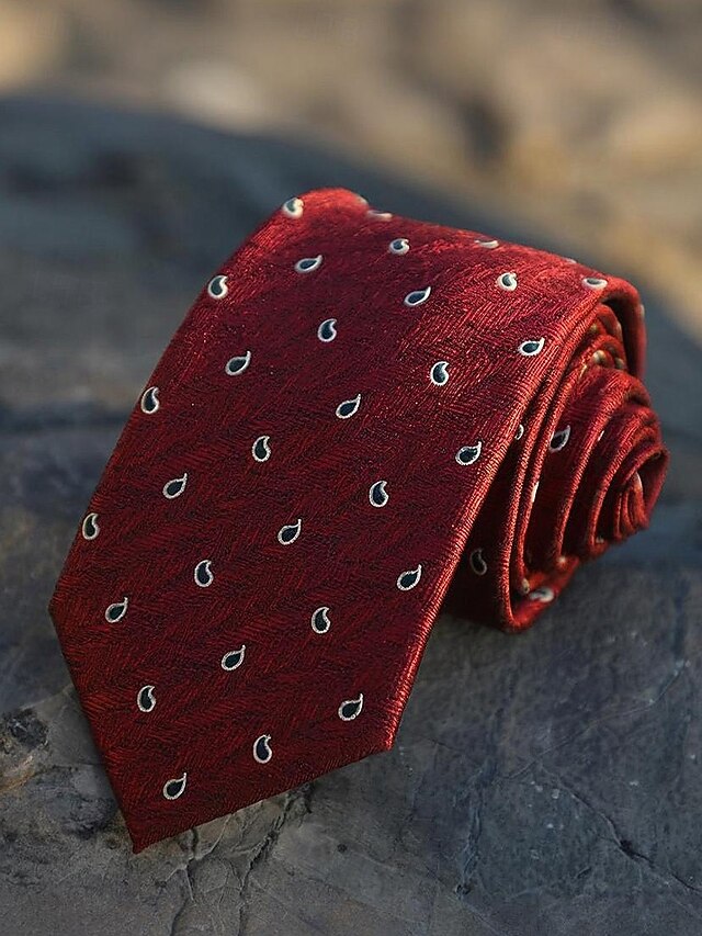 Classic Necktie Tie Men's Silk and Paisley Striped