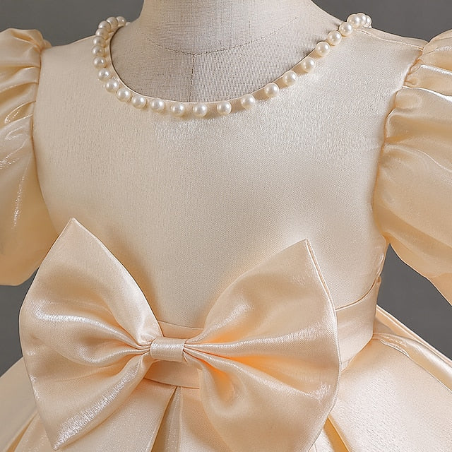 Girls' Flower Dress Party Wedding Special Girl