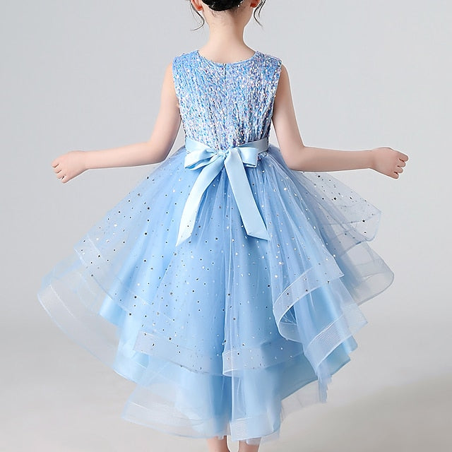 Flower Princess Girl Girls' Party Dress