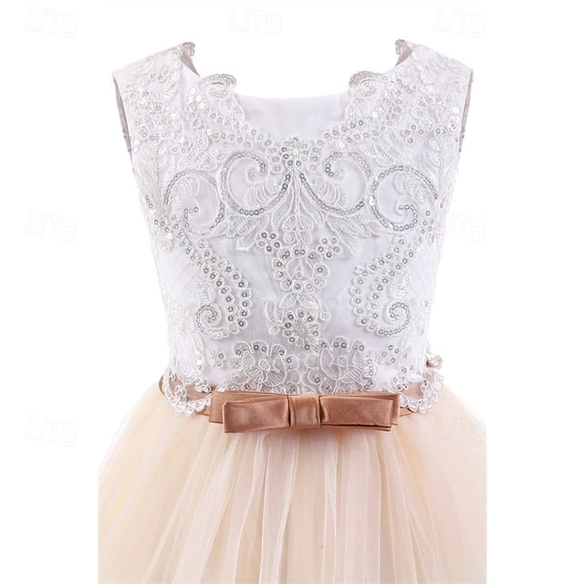 Girl Girls' Princess Kid's Dress Flower