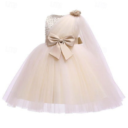 Flower Girl Kid's Girls' Princess Dress