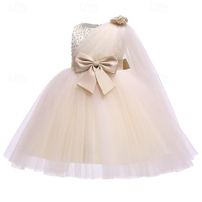 Flower Princess Dress Girls' Kid's Girl